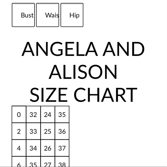 NWT! Beautiful Cocktail Dress by Angela and Alison - Picture 4 of 5